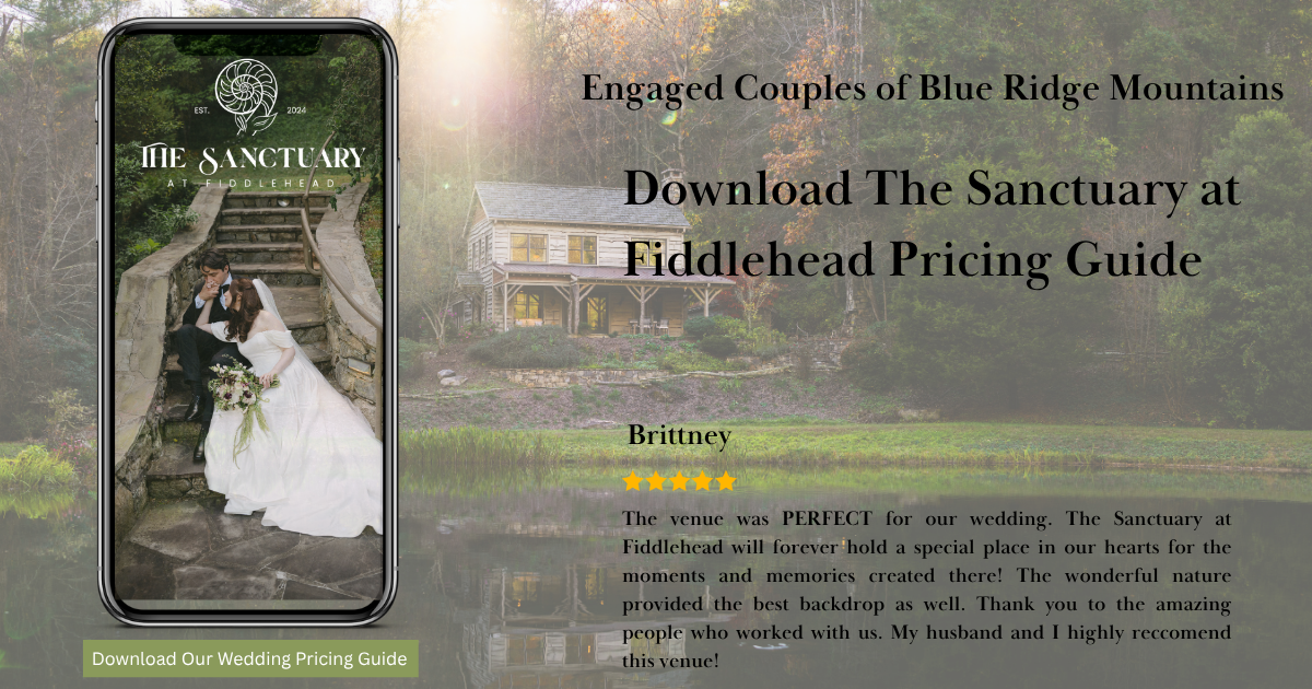 Engaged Couples of Blue Ridge Mountains
